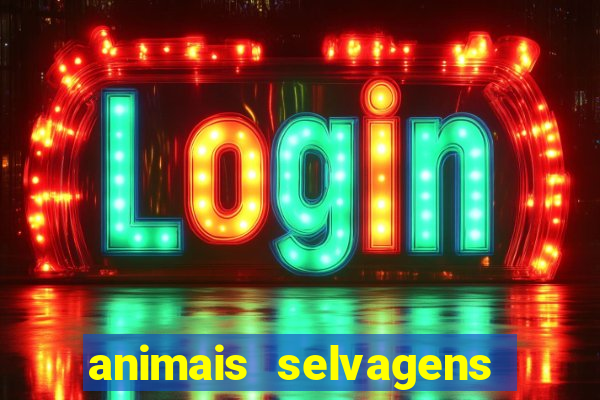 animais selvagens fotos e nomes